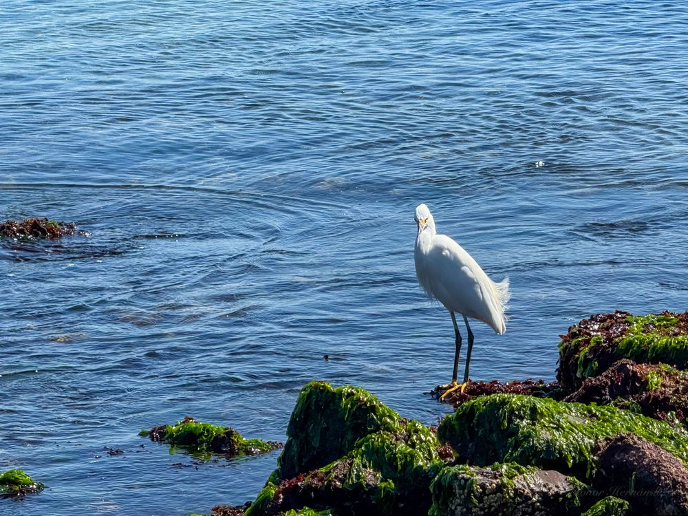 Photograph by Leonor Hernandez