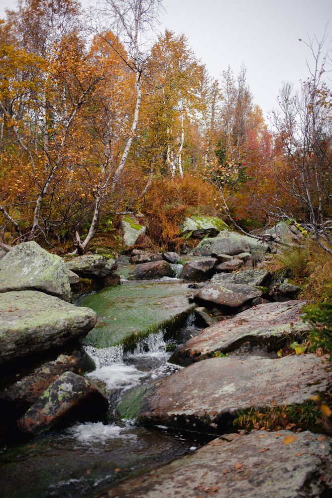 Photograph by Алина Перескокова