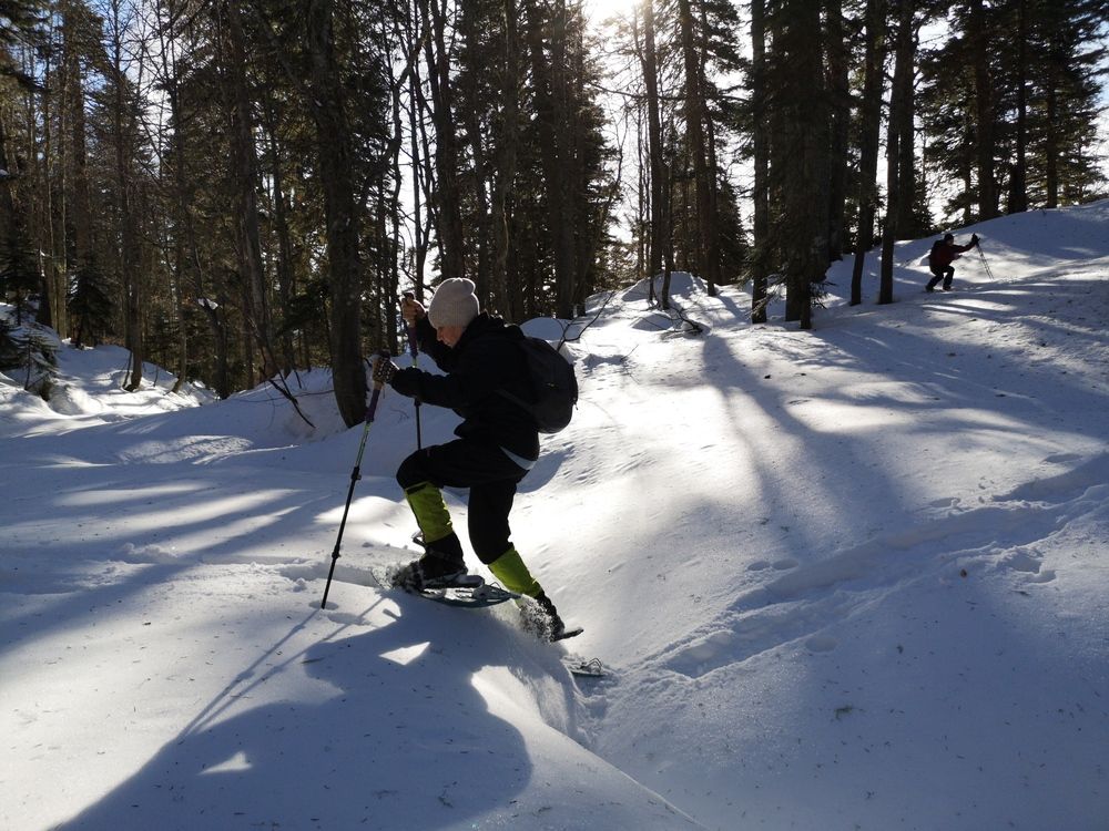 Фотография автора Tam To