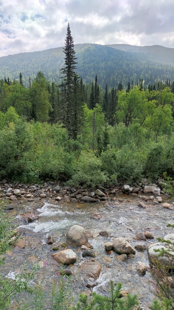 Photograph by Алина Перескокова