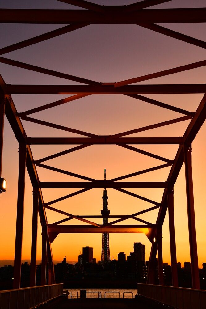Twilight Truss