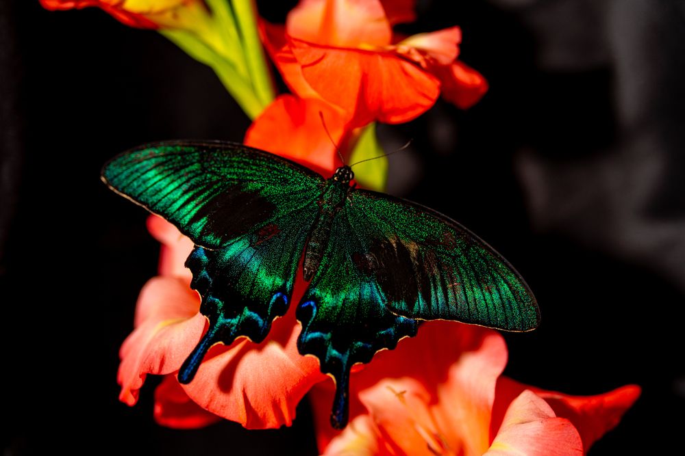 Photograph by Флетчер Сергей