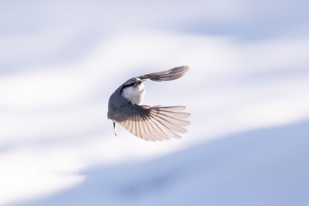 Photograph by Сергей Флетчер