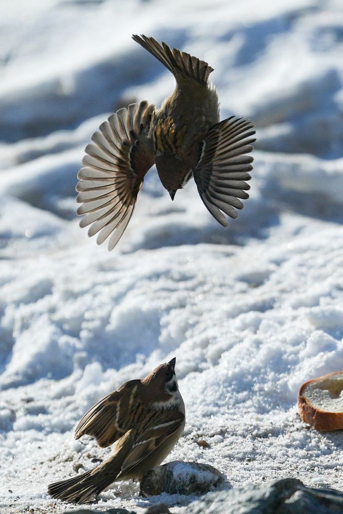 Фотография автора Сергей Флетчер