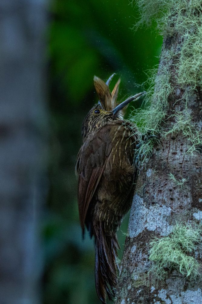 Photograph by Julia A Caesar