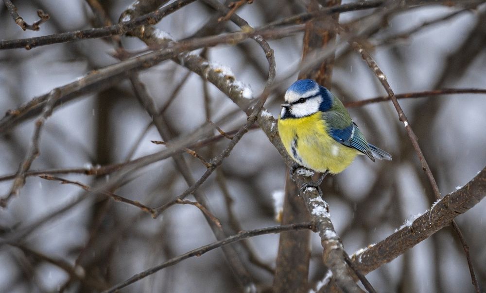 Photograph by Сергей Басов