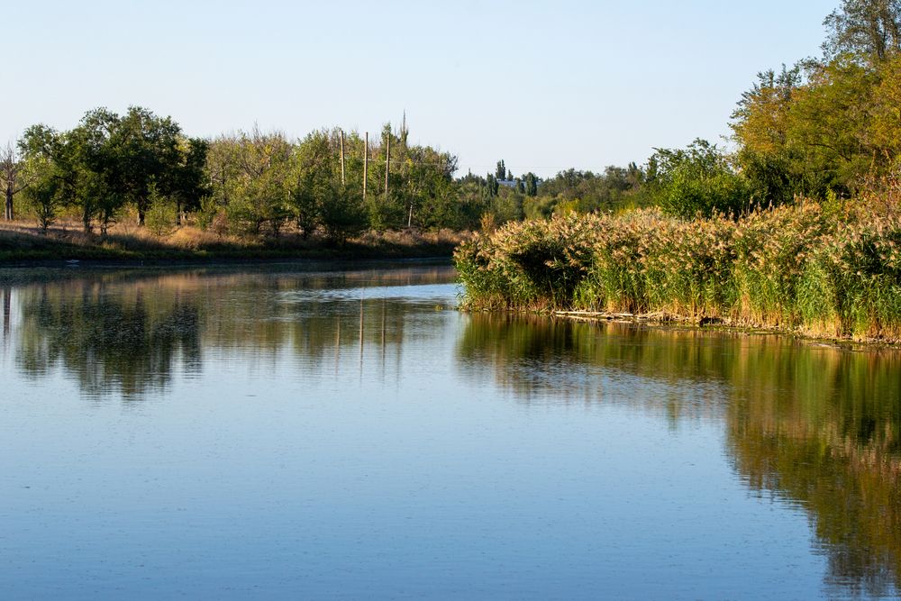 Photograph by Олег Алексеев