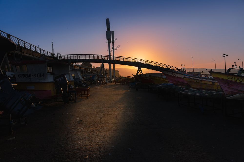Sunset at Valparaíso Duck
