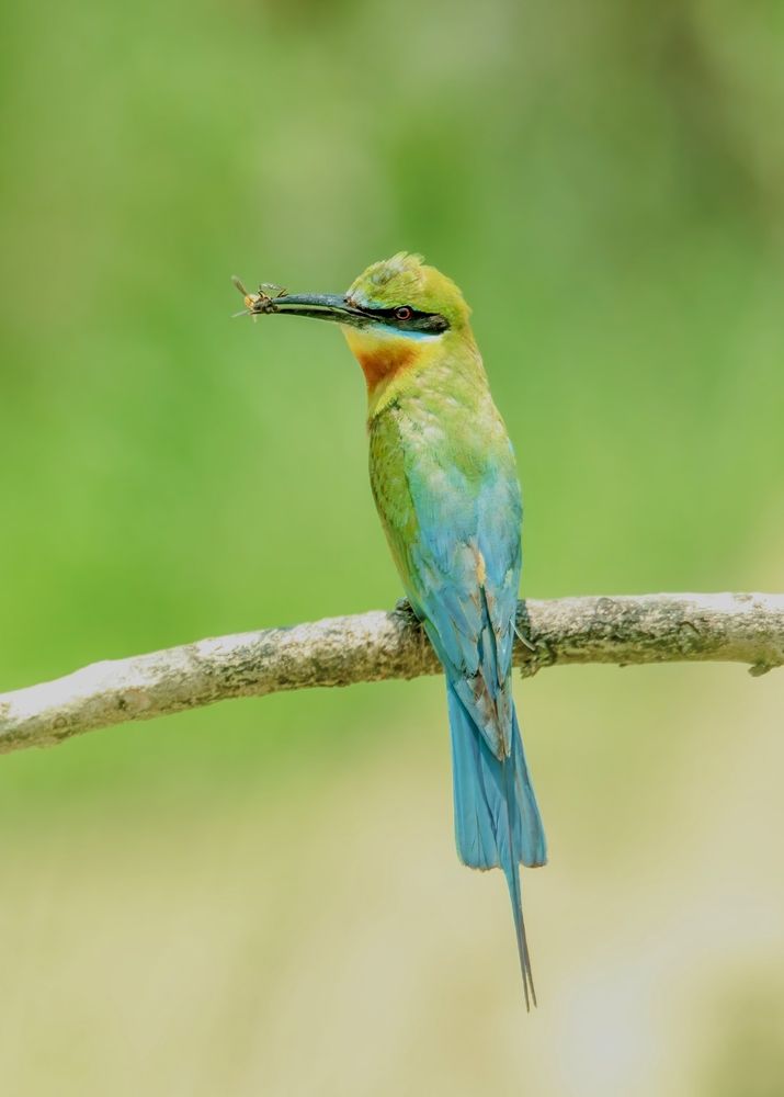 Photograph by Debarghya Banerjee