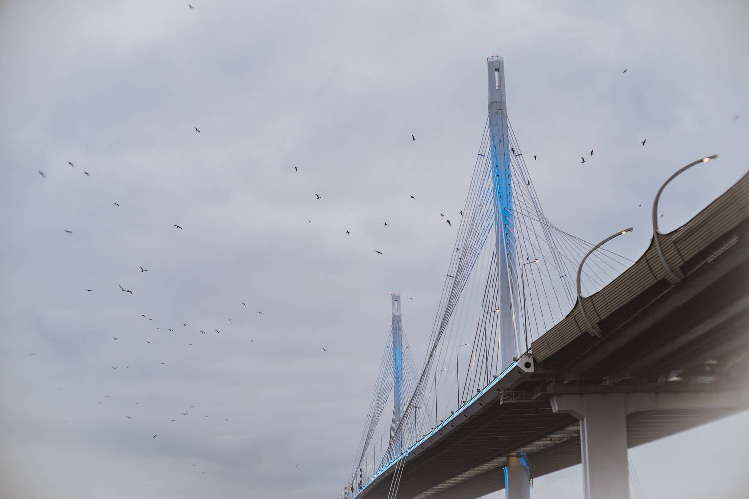 Photo #13253460