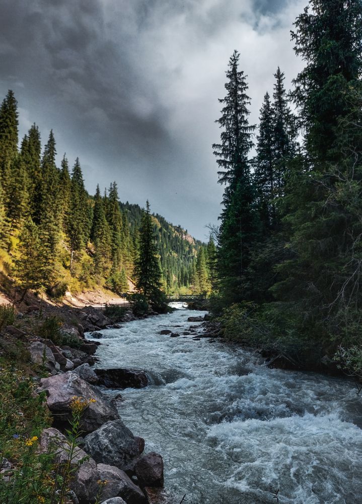 Фотография автора Анна Чичилова