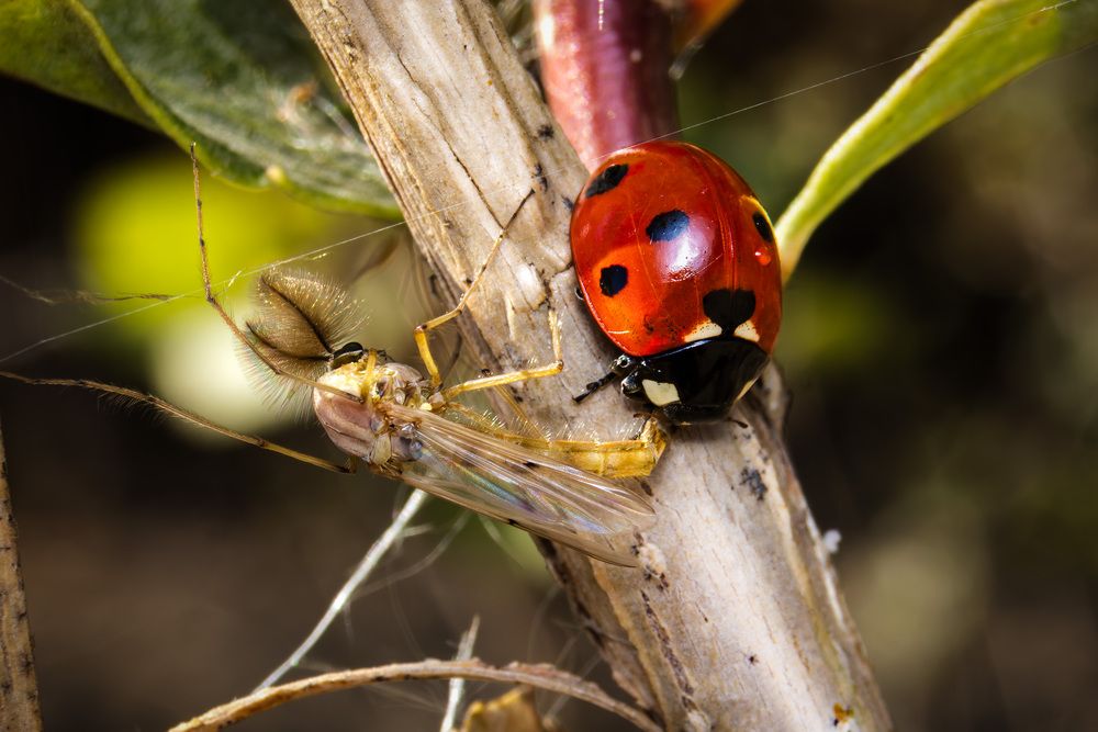 Photograph by Денис Лобов