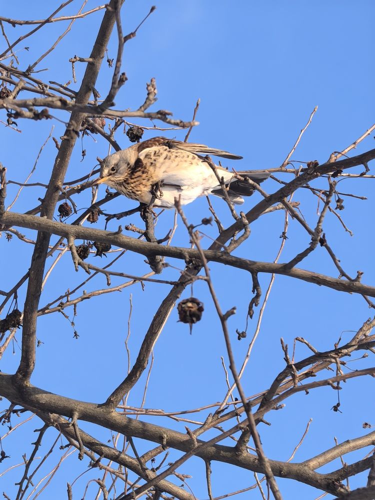 Photograph by Елена Качалина