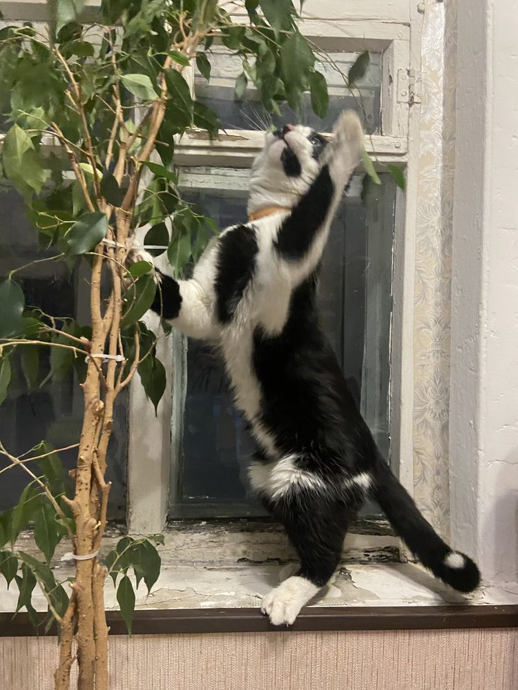 Photograph by Карпович Максим