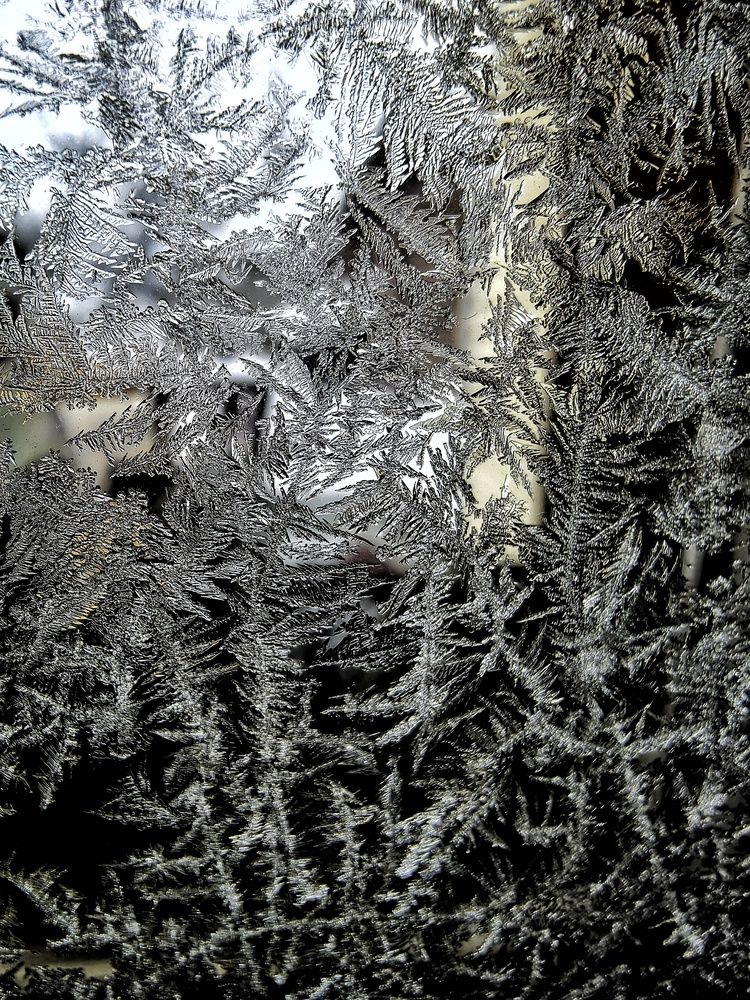 Photograph by Елена Артёменко