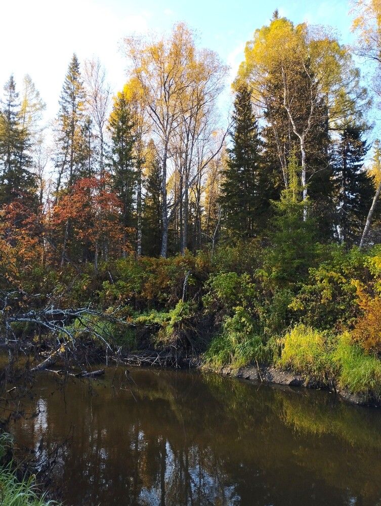 Photograph by Елена Белых