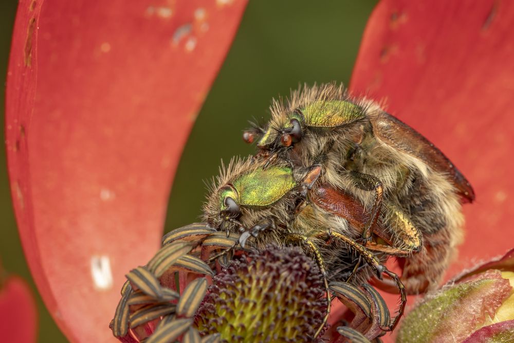 Фотография автора Nikolay Tatarchuk