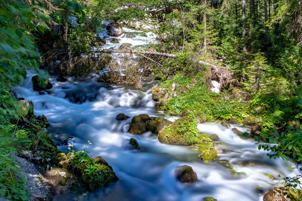 Фотография автора Nikolay Tatarchuk