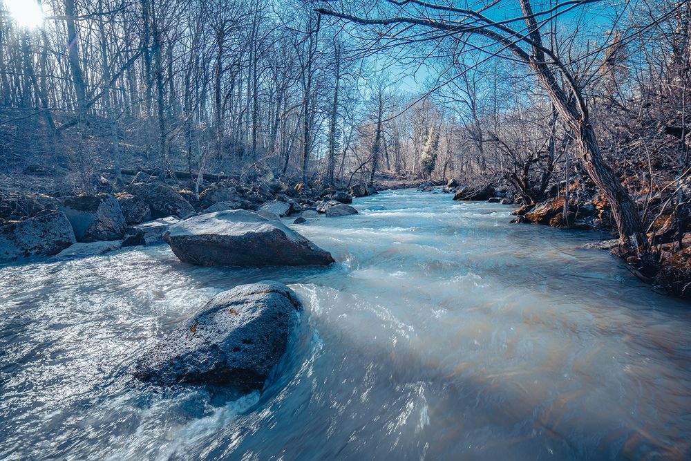 Фотография автора Вадим Коваленко