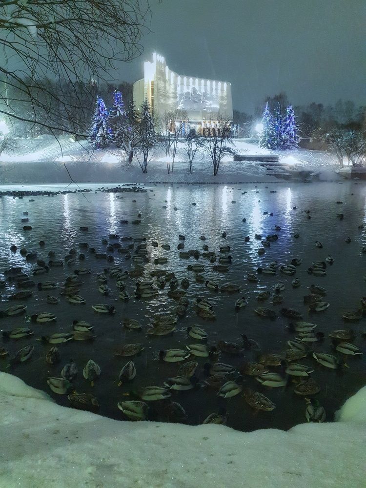 Photograph by Дмитрий Сорокин