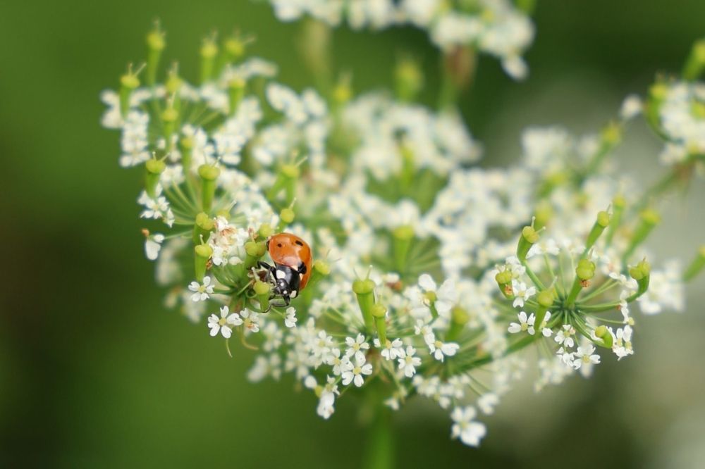 Photograph by Марина Иванникова