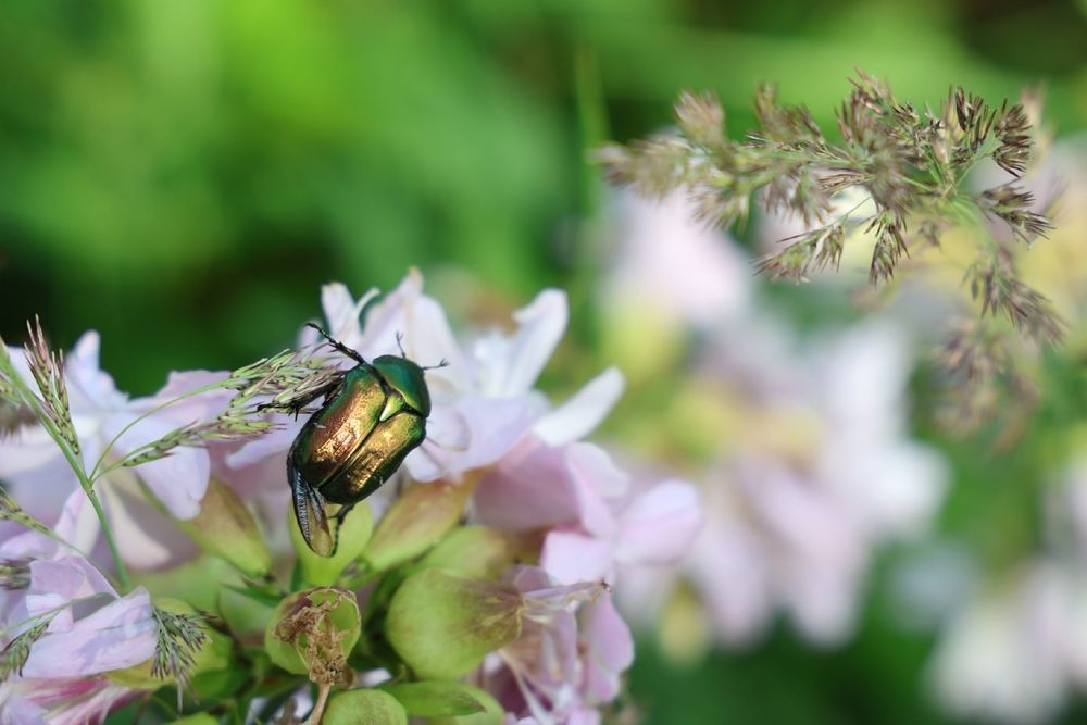 Photograph by Марина Иванникова