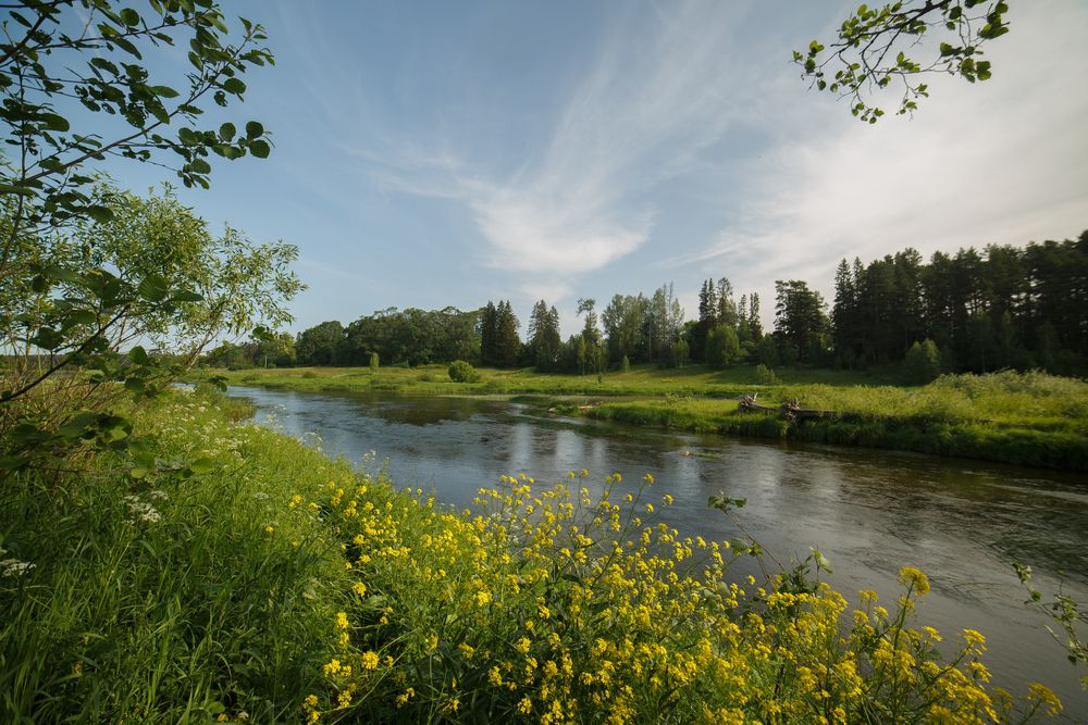 Photograph by Дарья Улюсова