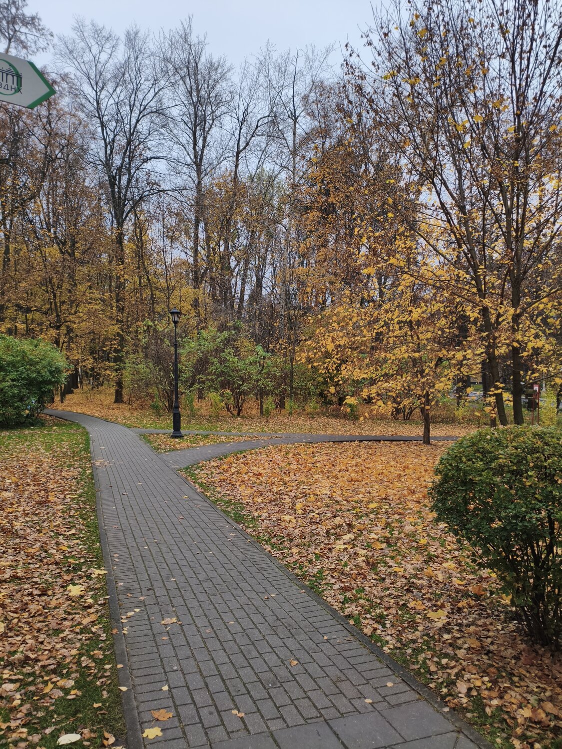 Фотография #13253857