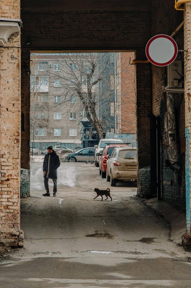 Photograph by Ксения Шилина