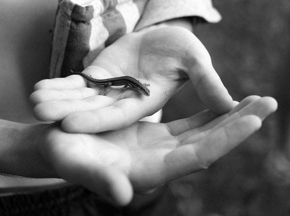 Photograph by Дмитрий Ткаченко