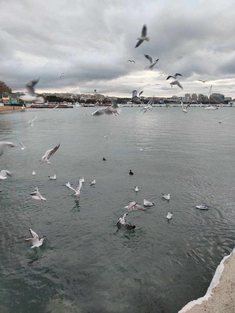 Photograph by Алла Ларина