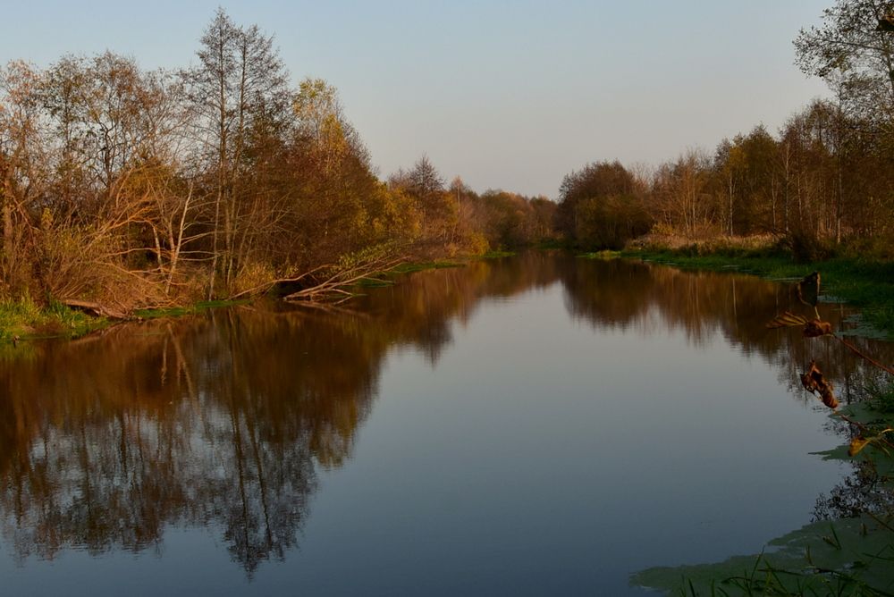 Photograph by Dimon Grinih