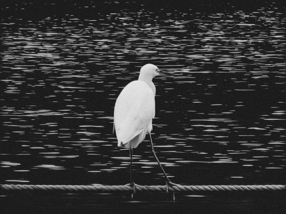 Photograph by Таисия