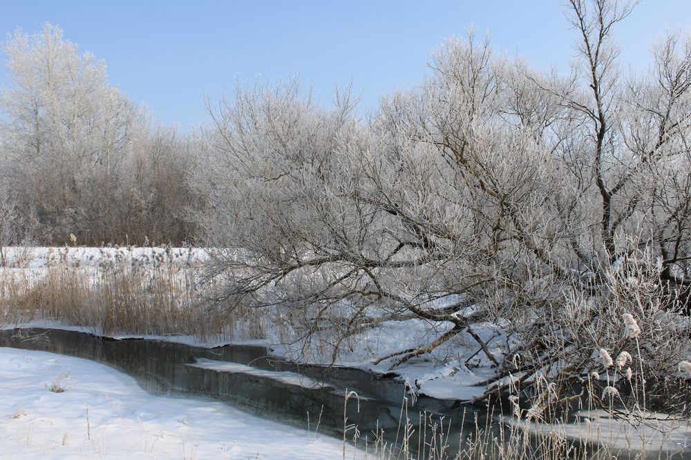 Photograph by Елена Коробченко