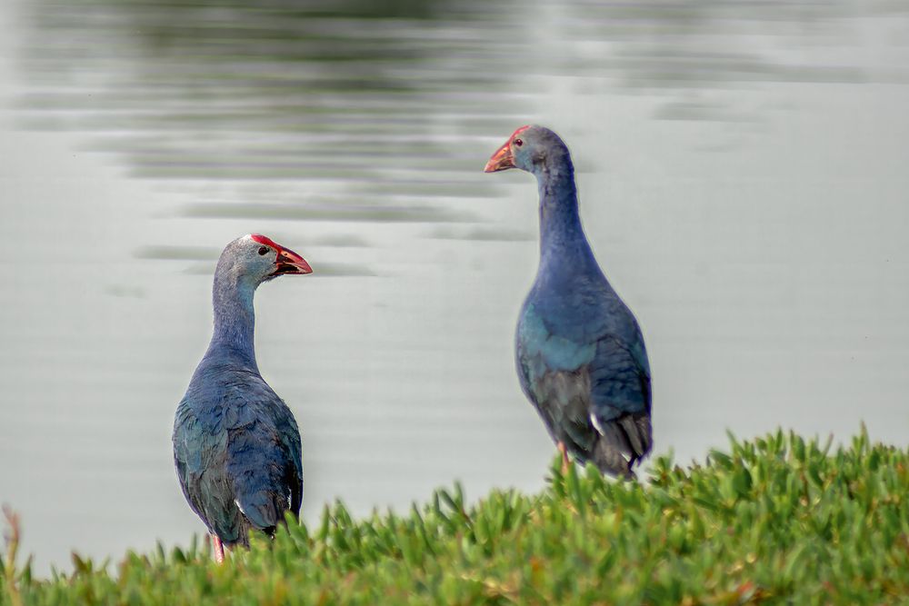 Photograph by Oxana Berezovskaya