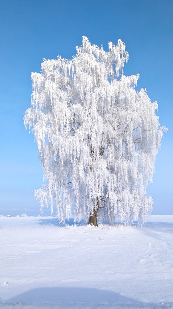 Фотография автора Геннадий Ломеко