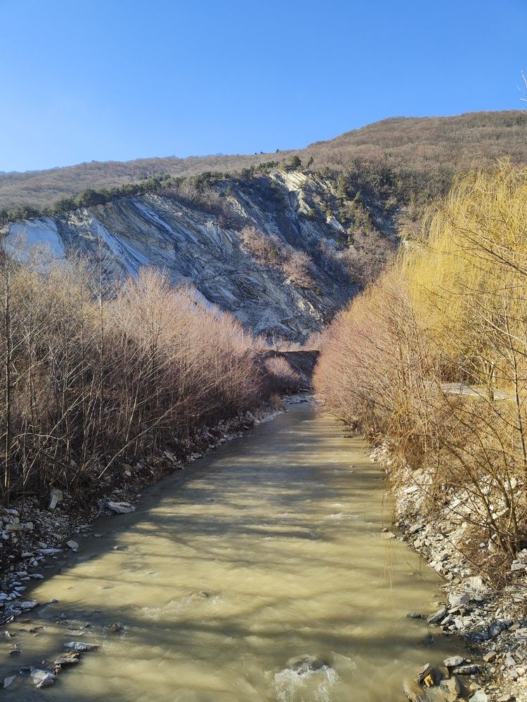 Photograph by Алла Ларина