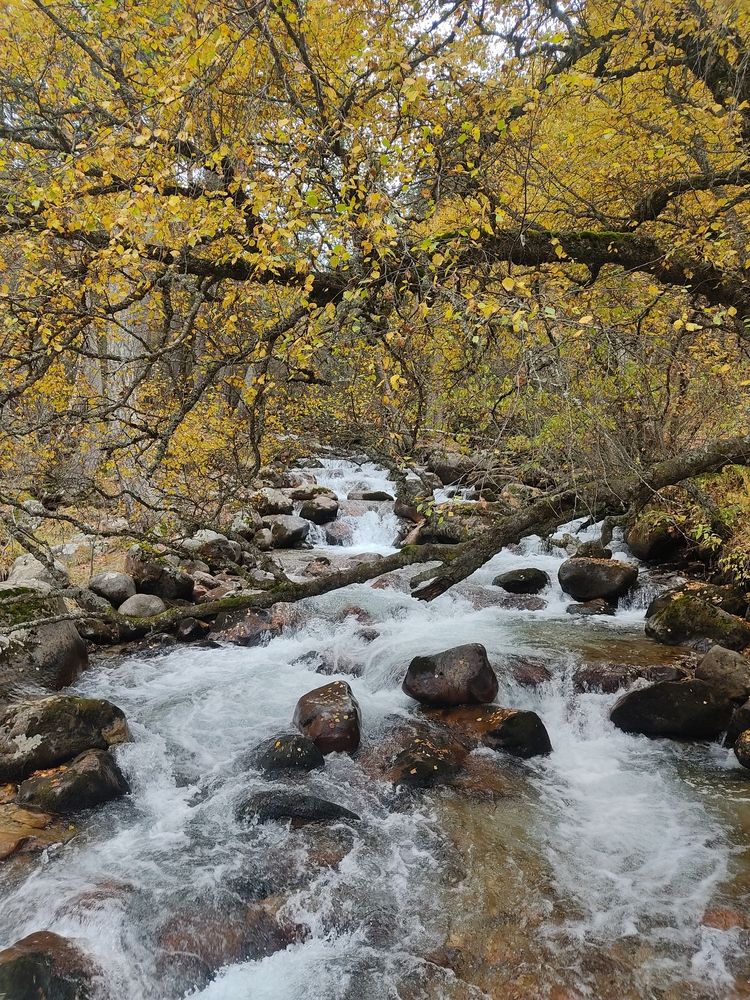 Photograph by Александра