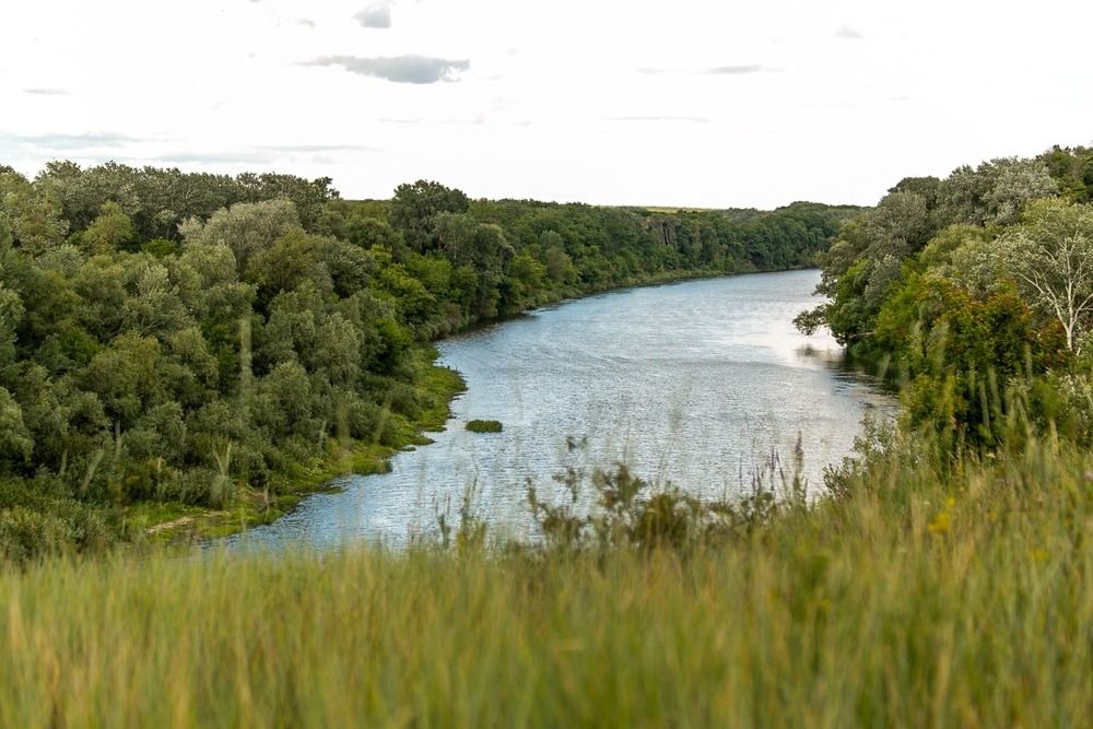 Photograph by Elena Chilikina