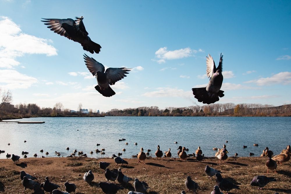 Photograph by Екатерина Осколкова