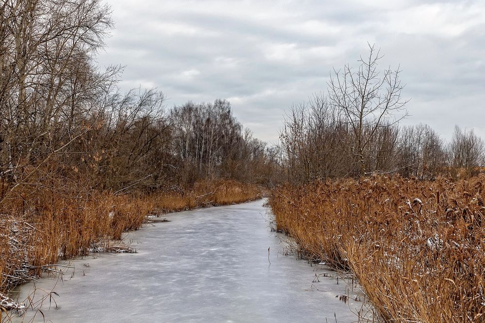 Photograph by Анатолий Чесноков