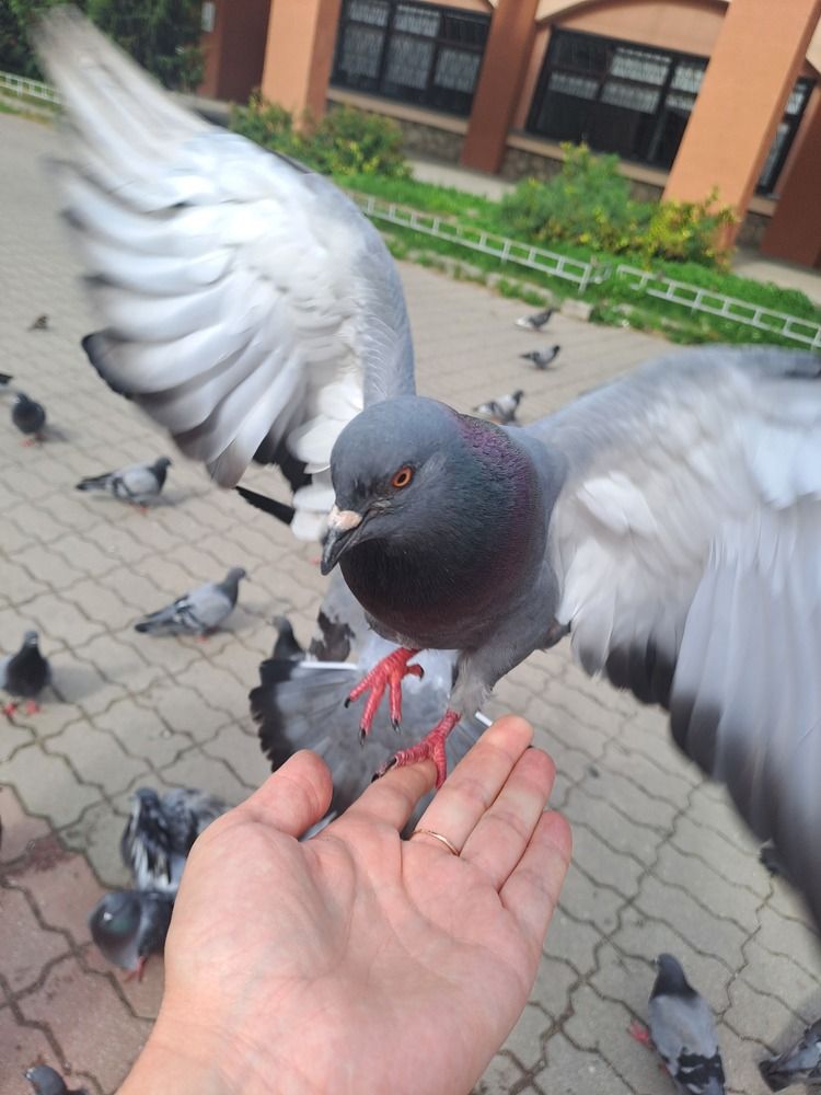 Photograph by Ирина Савельева