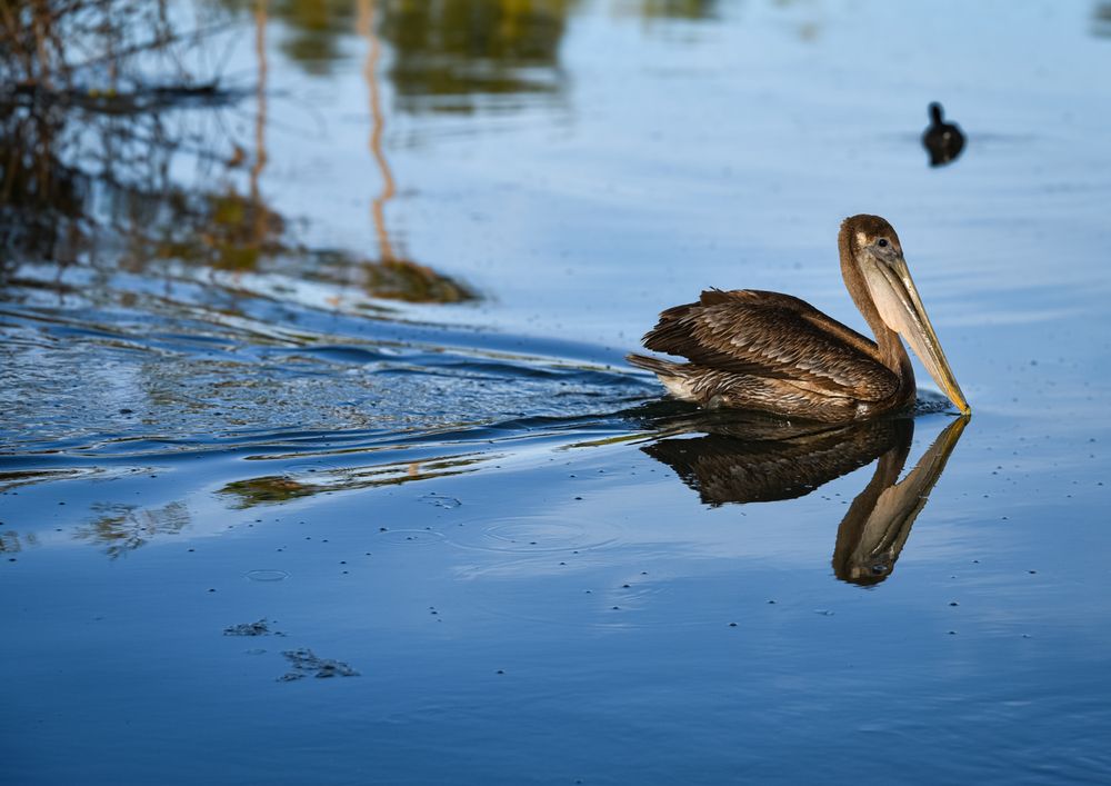Фотография автора Gabriela Bonilla