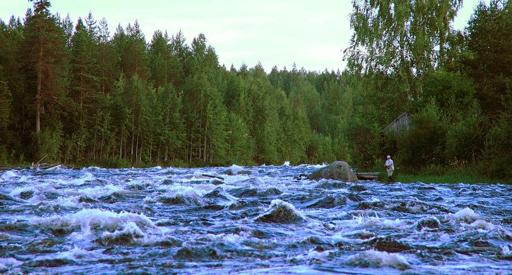 Photograph by Алексей Болтунов