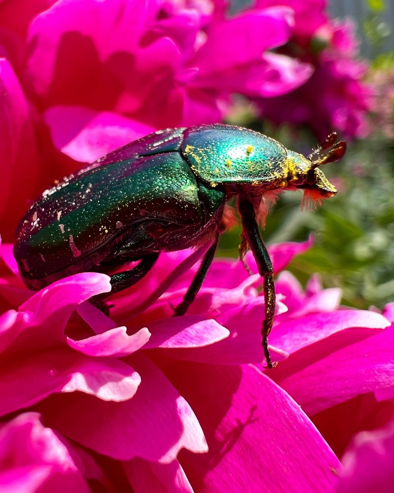 Photograph by Татьяна Волохова