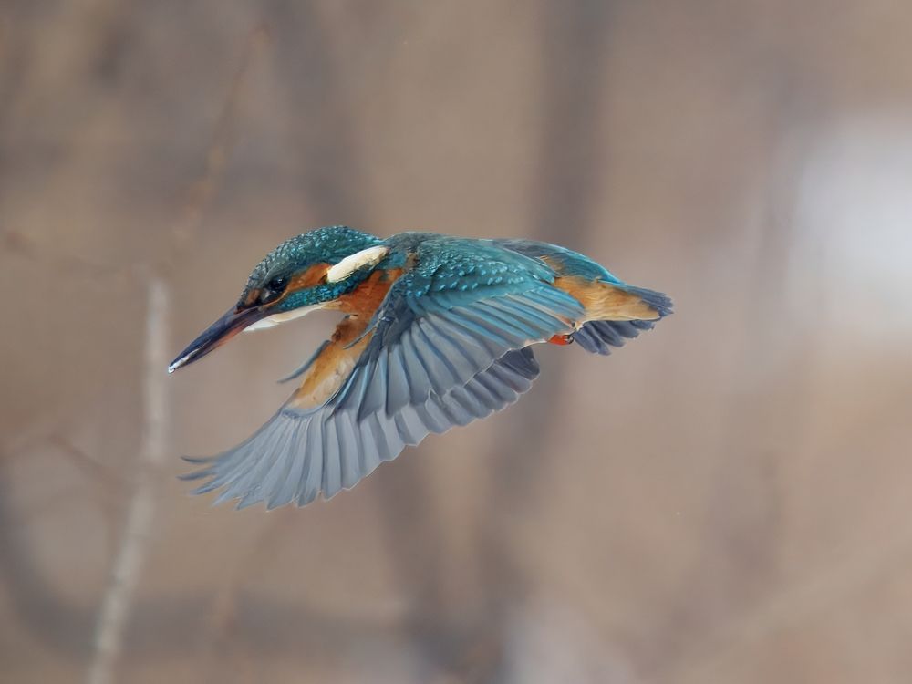 Photograph by Валерий Змачинский