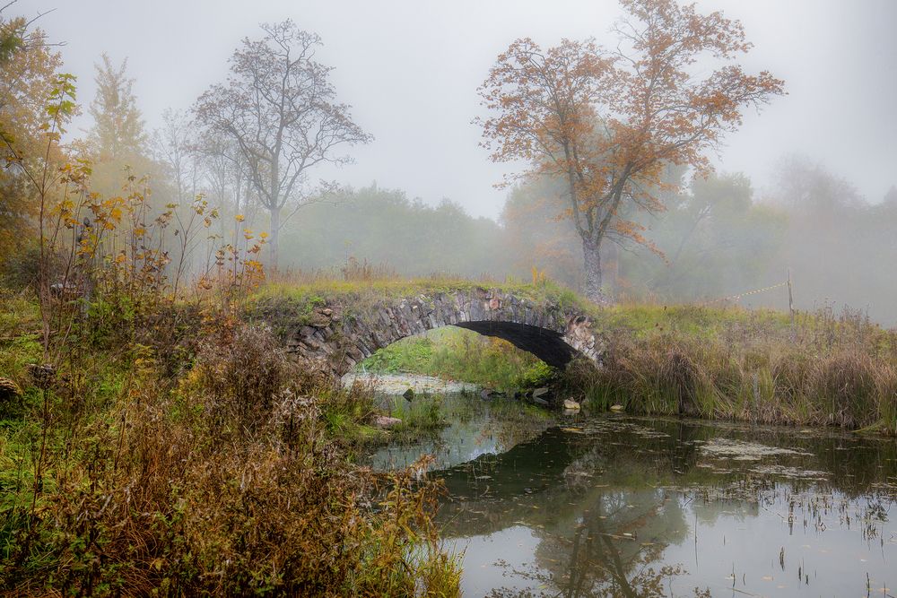 Фотография автора Aleksandr Mihailov
