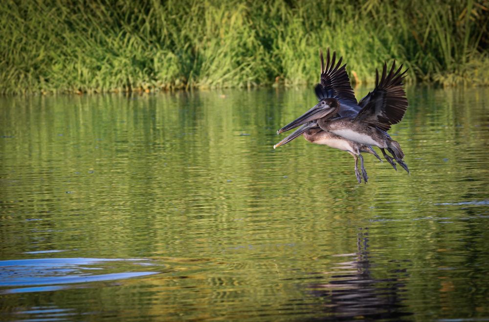 Фотография автора Gabriela Bonilla