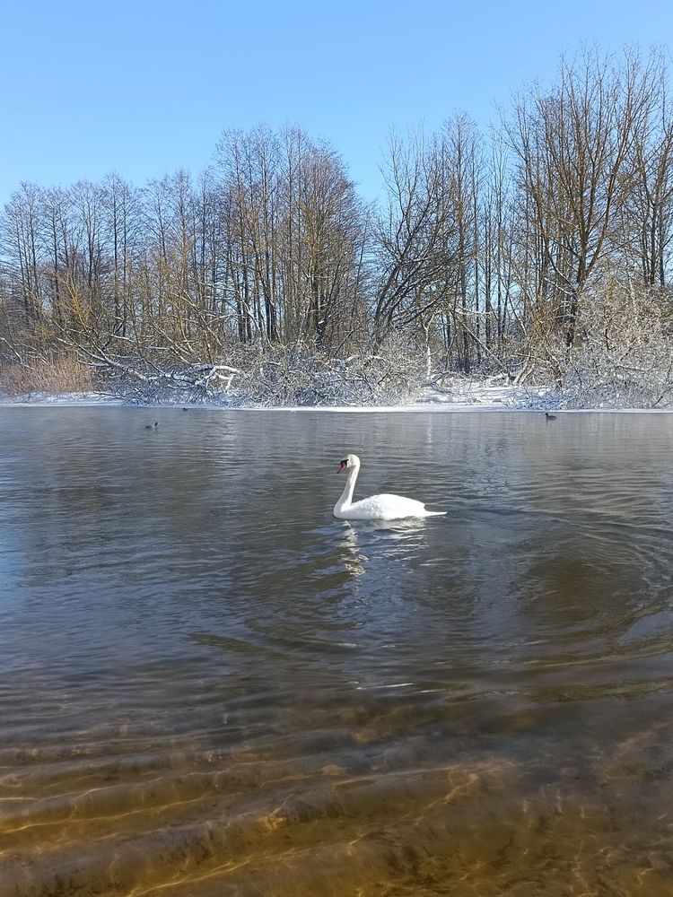 Photograph by Елена Пархоменко