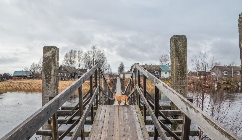 Photograph by Федотова Зоя